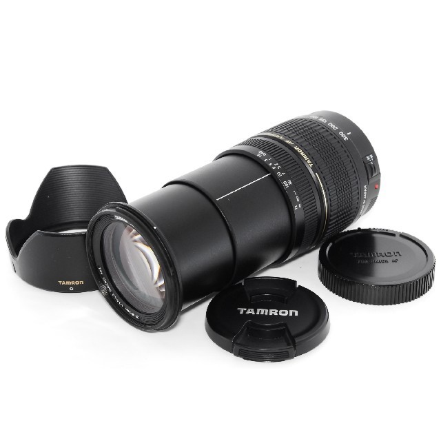 近距離から望遠撮影まで1本でOK♪❤Canon用 タムロン 28-300mm 直売所