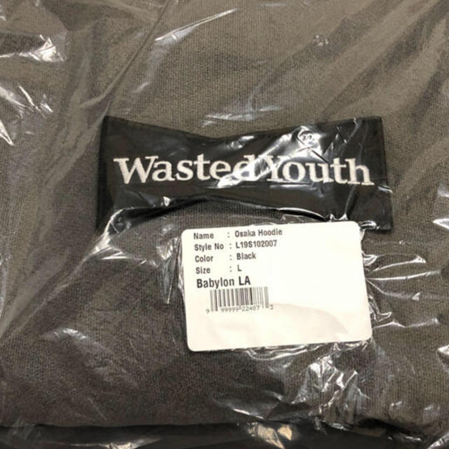 wasted youth hoodie