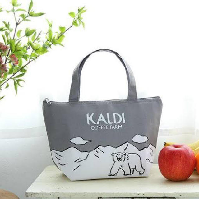 KALDI(カルディ)のレタスクラブ 7月増刊号付録 KALDI 保冷バッグ 新品未開封 同じ物2個 インテリア/住まい/日用品のキッチン/食器(弁当用品)の商品写真