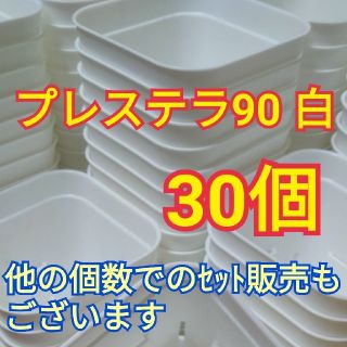 ☆期間限定価格☆【新品】プレステラ90 白 30個(プランター)