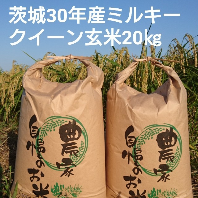 食品/飲料/酒茨城30年産ミルキークイーン玄米20㎏