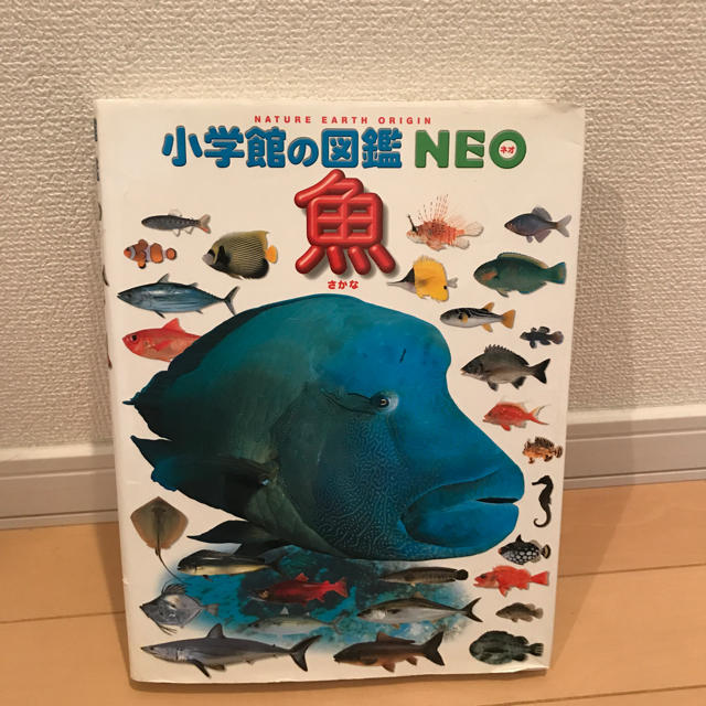 小学館(ショウガクカン)の図鑑！！  魚 エンタメ/ホビーの本(語学/参考書)の商品写真