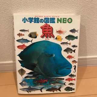 ショウガクカン(小学館)の図鑑！！  魚(語学/参考書)