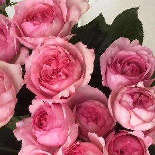 J様専用♡(その他)