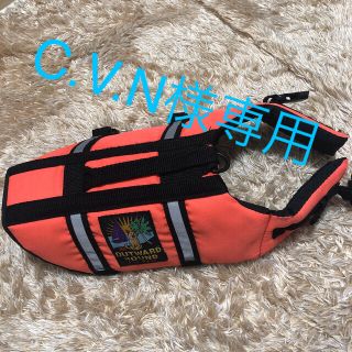 小型犬用 ライフジャケット　OUTWARD HOUND チワワ　浮き具(犬)