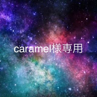 caramel様専用出品(浄水機)