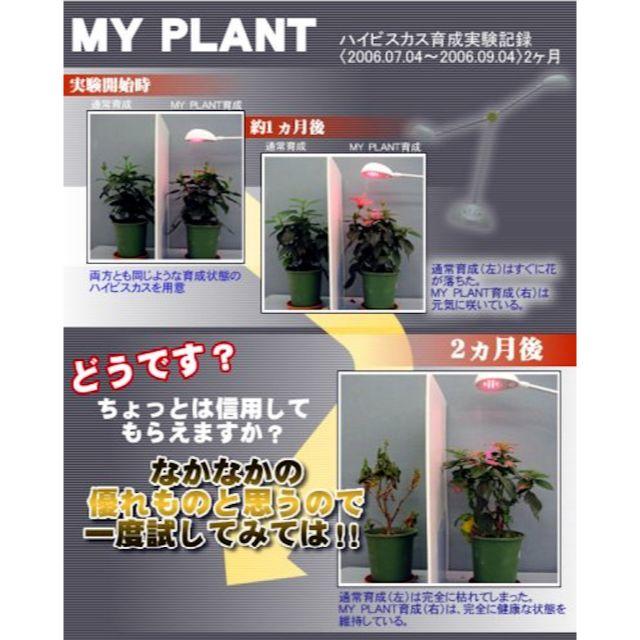 LED植物育成灯 和光電研 マイプラント(MYPLANT)WK-12-2 インテリア/住まい/日用品のライト/照明/LED(テーブルスタンド)の商品写真