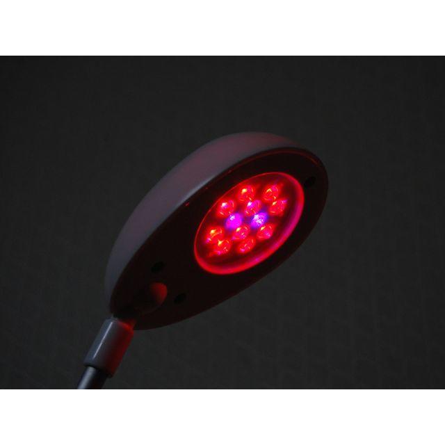 LED植物育成灯 和光電研 マイプラント(MYPLANT)WK-12-2 インテリア/住まい/日用品のライト/照明/LED(テーブルスタンド)の商品写真