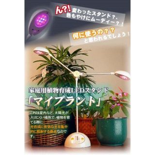 LED植物育成灯 和光電研 マイプラント(MYPLANT)WK-12-2(テーブルスタンド)