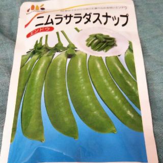 残り僅か！　正規品　ニムラサラダスナップ　種　60粒(野菜)