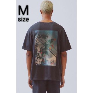 フィアオブゴッド(FEAR OF GOD)のM / Essentials Boxy Photo Series T-Shirt(Tシャツ/カットソー(半袖/袖なし))