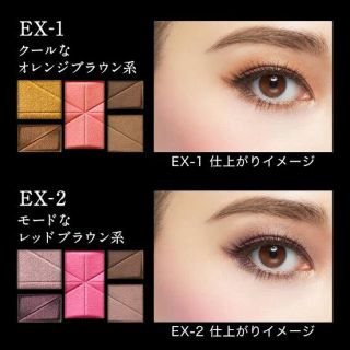 ケイト(KATE)の【新品】KATE ディメンショナルパレット EX-2(その他)