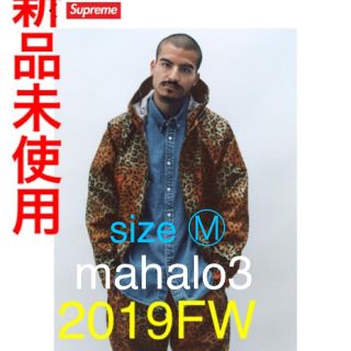 シュプリーム(Supreme)の新品★本物★SUPREME★GORE-TEX Taped Seam Jacket(マウンテンパーカー)