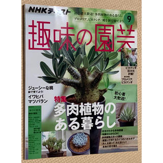 NHK 趣味の園芸 2019年 09月号  多肉植物のある暮らし(語学/資格/講座)