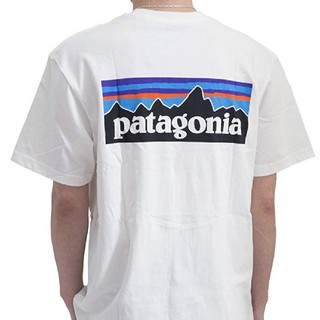 パタゴニア(patagonia)の希少品　(パタゴニア) patagonia バックプリント Tシャツ 38906(Tシャツ/カットソー(半袖/袖なし))
