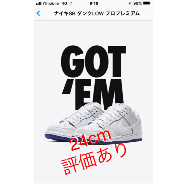 NIKE(ナイキ)の24 cm NIKE SB DUNK LOW PREMIUM  メンズの靴/シューズ(スニーカー)の商品写真