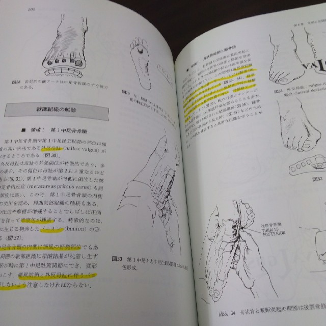 図解四肢と脊椎の診かた