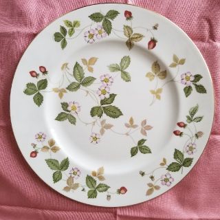 ウェッジウッド(WEDGWOOD)のウエッジウッド　ワイルドストロベリー　２７cm皿(グラス/カップ)