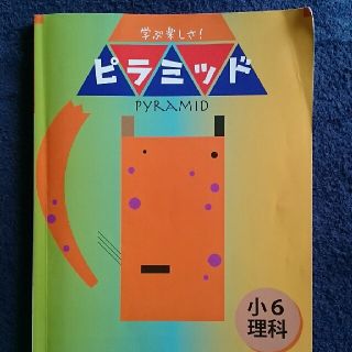 ピラミッド 小学校6年生 理科(語学/参考書)