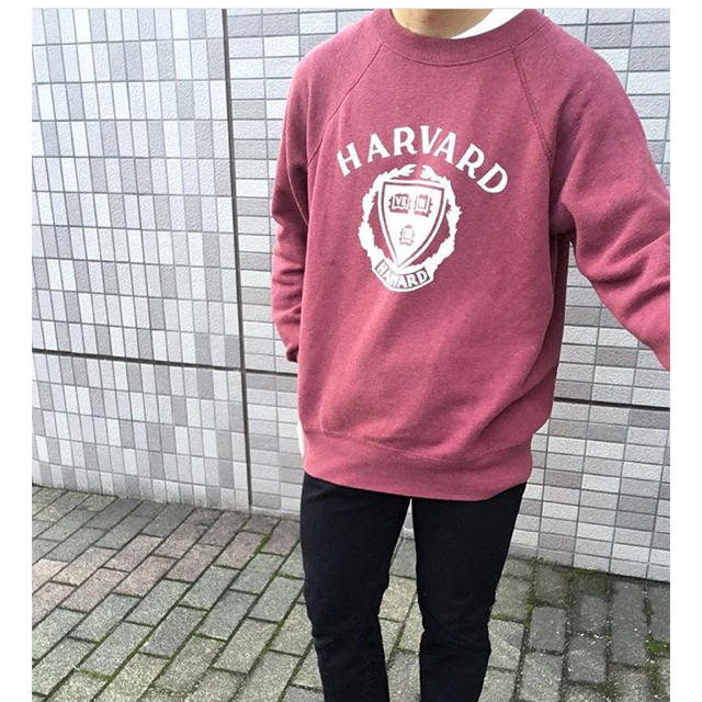 HARVARD スウェット　ヴィンテージ