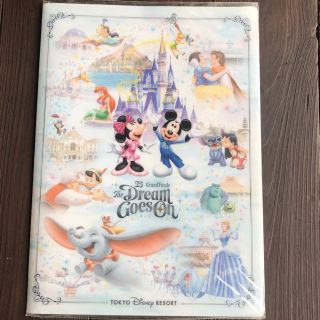 ディズニー(Disney)のTDR25周年Dream goes onクリアホルダー(クリアファイル)