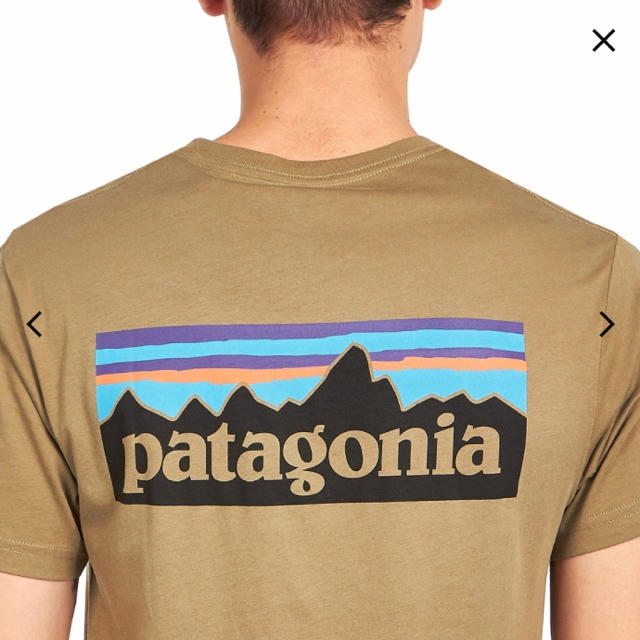 国内未入荷 新品タグ付 パタゴニア オーガニックコットンTシャツ ロゴ S