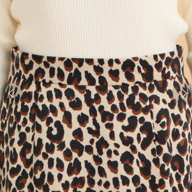 BEAUTY&YOUTH UNITED ARROWS(ビューティアンドユースユナイテッドアローズ)のレオパード柄ロングスカート レディースのスカート(ロングスカート)の商品写真
