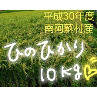 平成30年度 ひのひかり玄米10㎏(米/穀物)