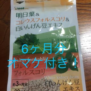 【サプリメント】明日葉＆コレウスフォルスコリ＆白インゲン豆エキス(ダイエット食品)