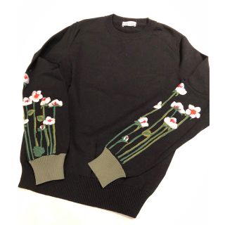 レッドヴァレンティノ(RED VALENTINO)のRED VALENTINO刺繍ニットプルオーバー★昨年コレクション！美品です！(ニット/セーター)