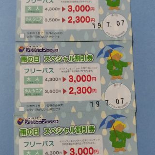 相模湖 プレジャーフォレスト フリーパス割引券三枚の通販 by