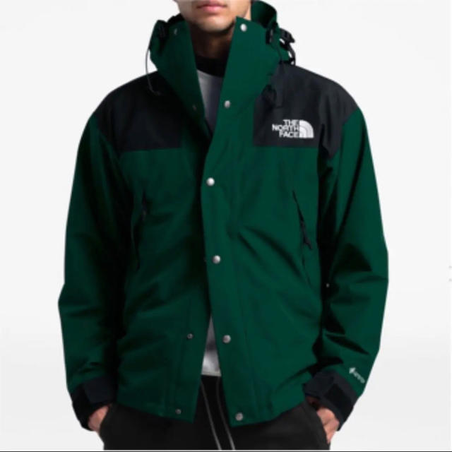 THE NORTH FACE 1990 Mountain Jacket GTXマウンテンジャケット