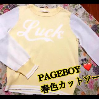 ページボーイ(PAGEBOY)のPAGEBOY❤️パステル♬カットソー 未使用 (カットソー(長袖/七分))