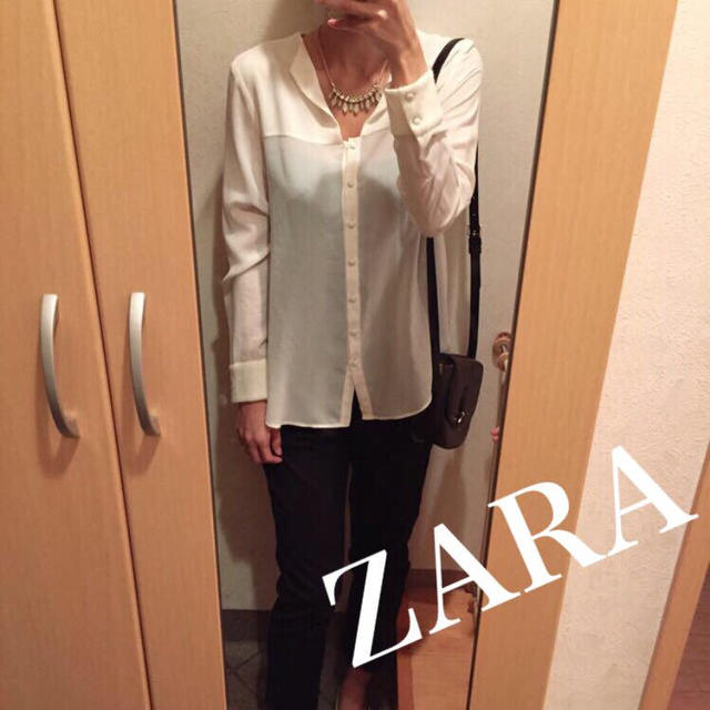 ZARA(ザラ)の背中と袖のみウール❁シフォンブラウス レディースのトップス(シャツ/ブラウス(長袖/七分))の商品写真