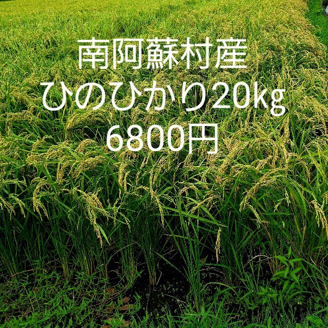 平成30年度 ひのひかり20㎏