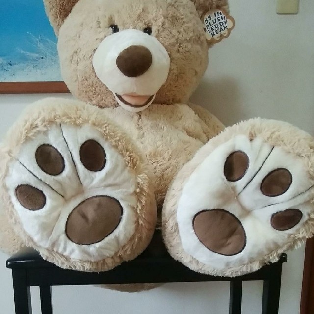 コストコ　53　IN PLUSH TEDDY BEARの通販 by ゆー's shop｜ラクマ 新品大特価