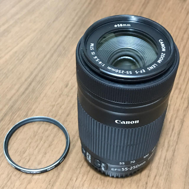 canon EF-S 55-250mm 1:4-5.6 IS STM