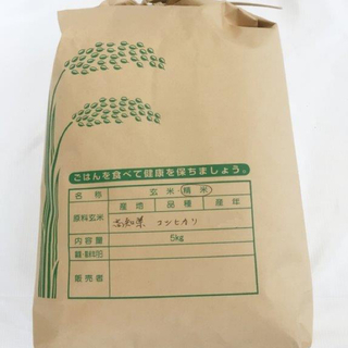新米❣️令和元年度 高知県産コシヒカリ 5kg 精米無料(米/穀物)
