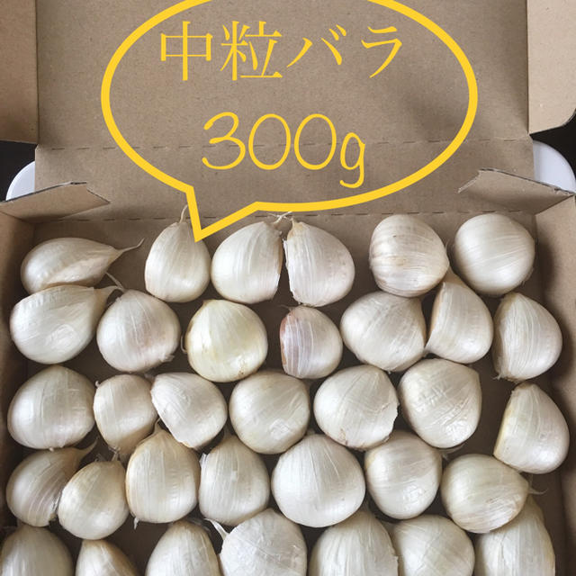 青森県産にんにく 中粒バラ300g 食品/飲料/酒の食品(野菜)の商品写真