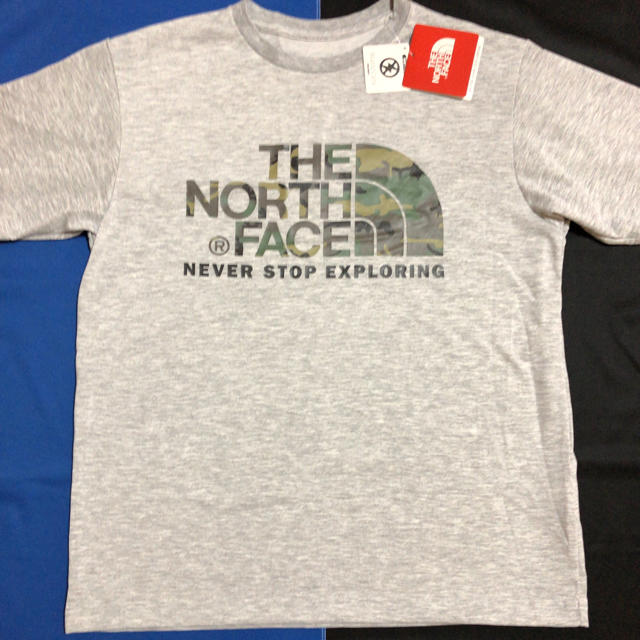 THE NORTH FACE(ザノースフェイス)の★★the north face ノースフェイス カモフラージュ ロゴ Tシャツ メンズのトップス(Tシャツ/カットソー(半袖/袖なし))の商品写真