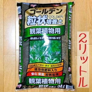 ※ こま様 専用 ※　ゴールデン粒状培養土 1リットル / 鉢底石 100グラム(その他)