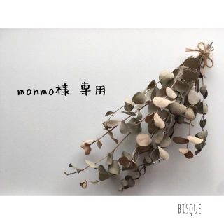 monmo様 専用(その他)