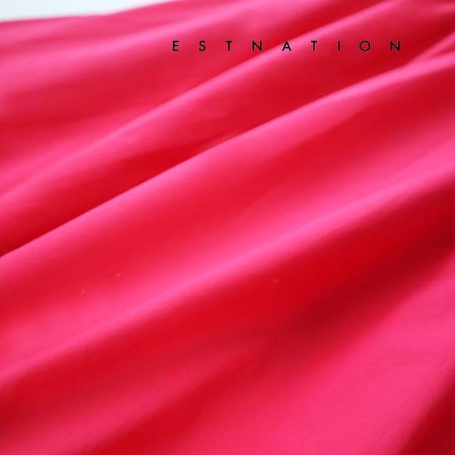 ESTNATION(エストネーション)の未使用 タグ付き ESTNATION フレアスカート ¥19,440 レディースのスカート(ロングスカート)の商品写真