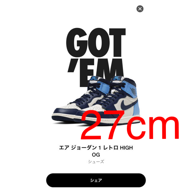 Air Jordan 1 Retro High OG Obsidian 27㎝