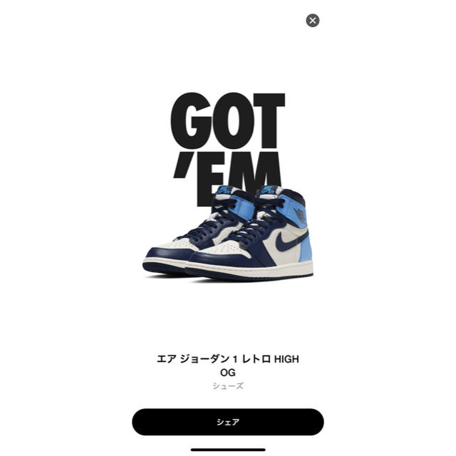 air jordan1 Obsidian 26cm