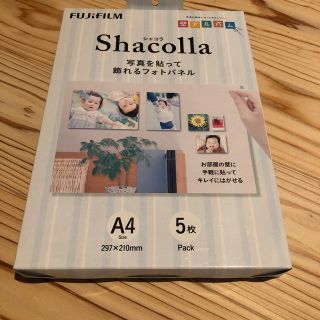 フジフイルム(富士フイルム)のnicoさん専用シャコラ  A4サイズ  5枚(その他)