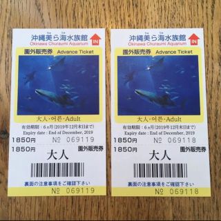 美ら海水族館チケット(水族館)