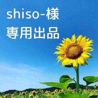 shiso-様専用出品(ネックレス)