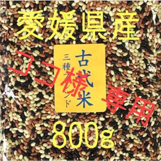 ココ様専用 古代米3種ブレンド　愛媛県産　800ｇ(米/穀物)
