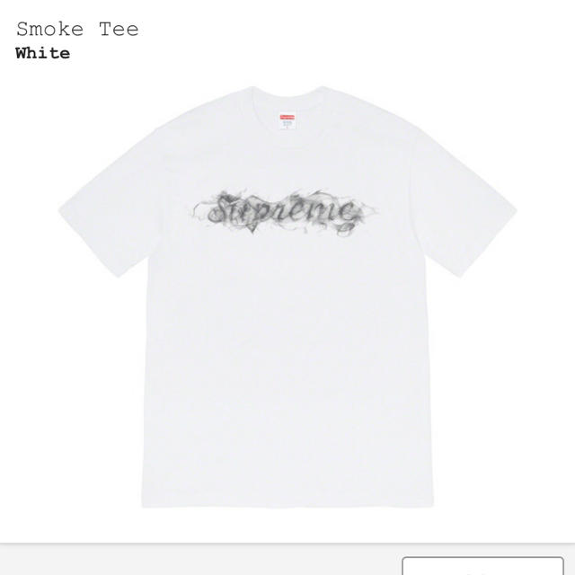 メンズSupreme FW WEEK0 Smoke Tee シュプリーム L